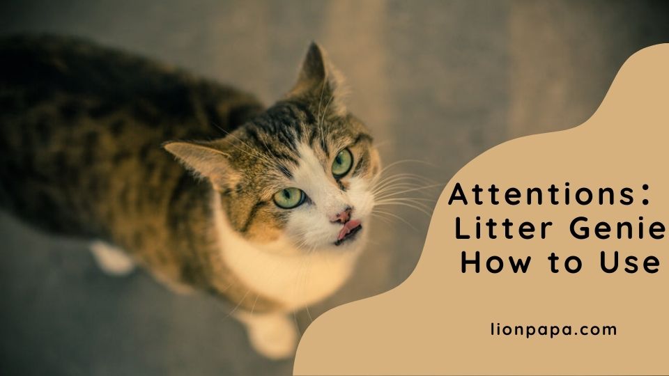 Attentions: Litter Genie How to Use