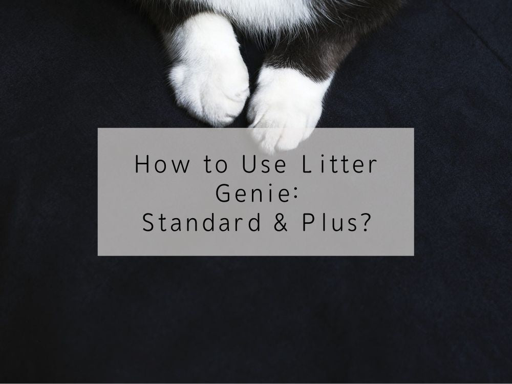 How to Use Litter Genie: Standard & Plus?