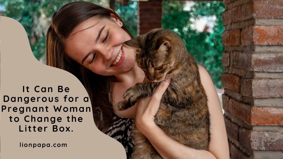 It Can Be Dangerous for a Pregnant Woman to Change the Litter Box.
