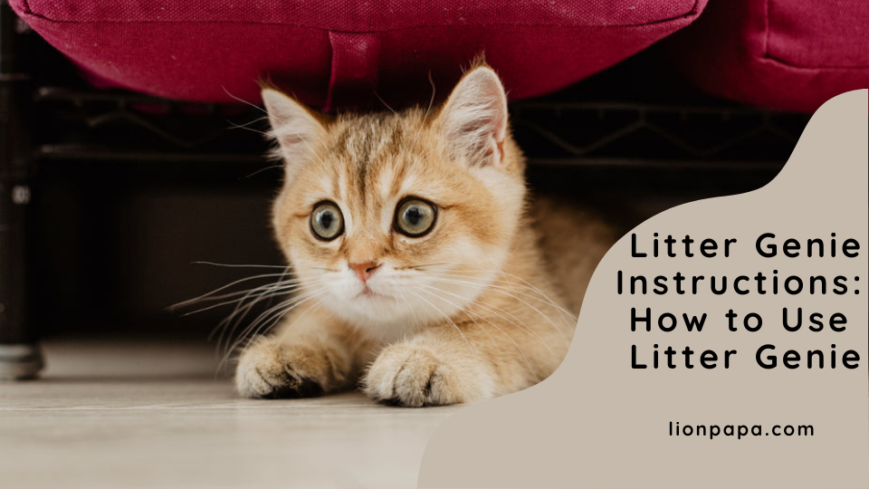 Litter Genie Instructions: How to Use Litter Genie