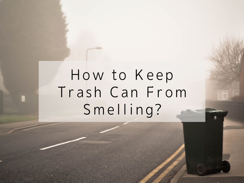 How to Keep Trash Can From Smelling?
