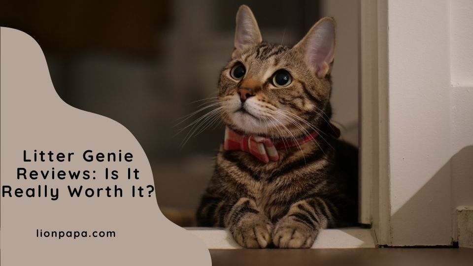 Litter Genie Reviews: Is It Really Worth It?