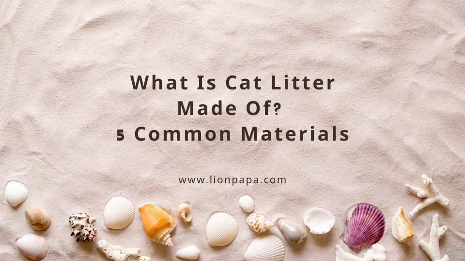 What Is Cat Litter Made Of? 5 Common Materials